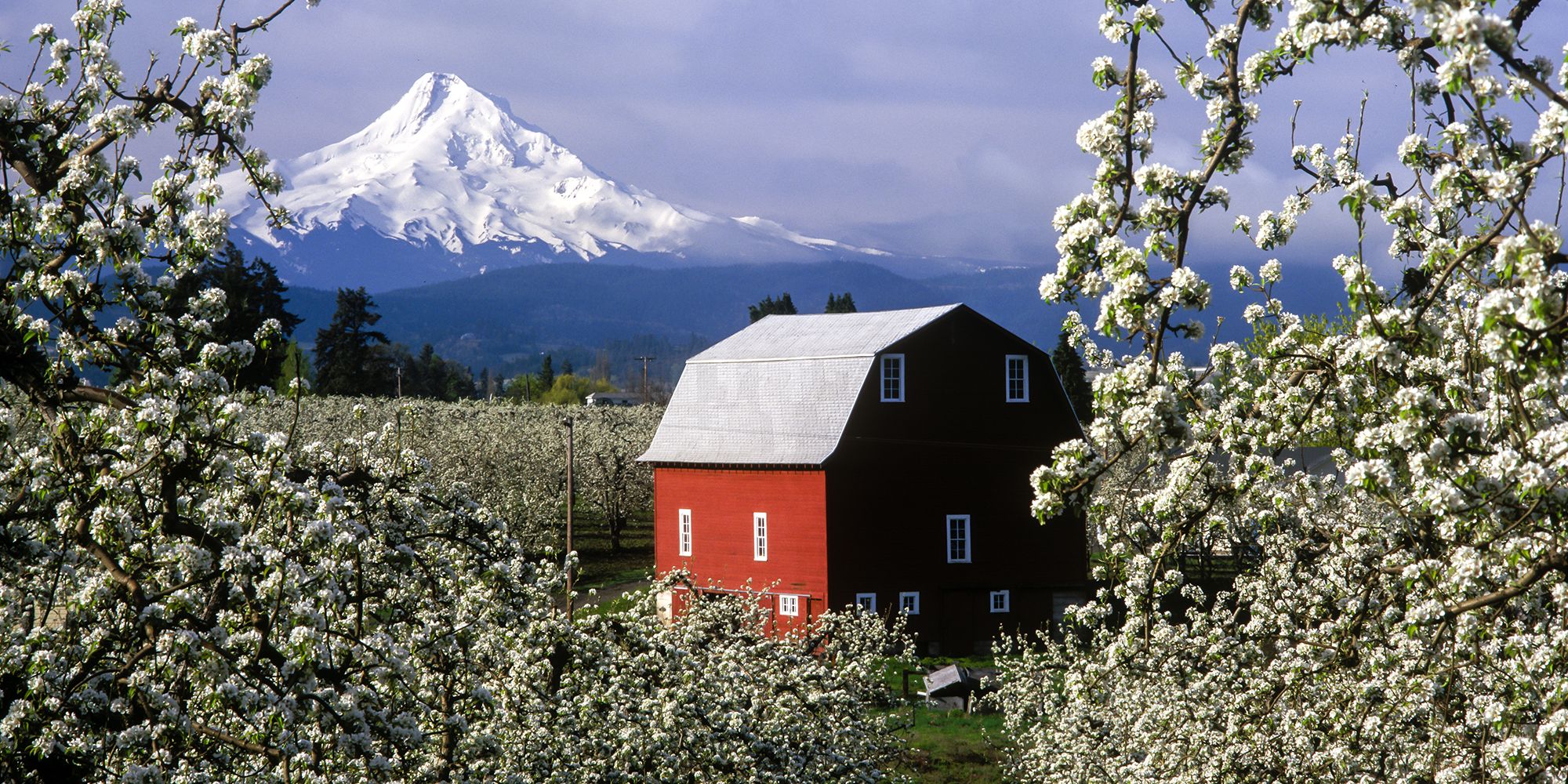 Oregon Mount Hood