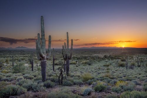 Arizona Phoenix Valley Sunset from Silly Mountain