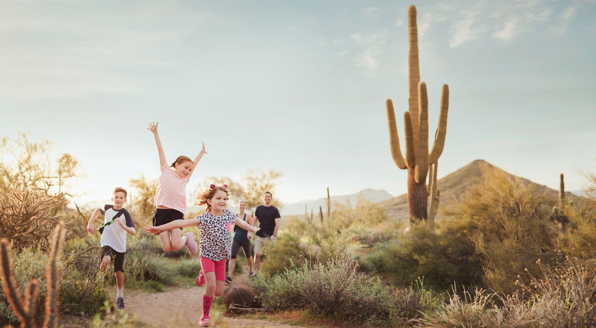Scottsdale Sonoran Desert