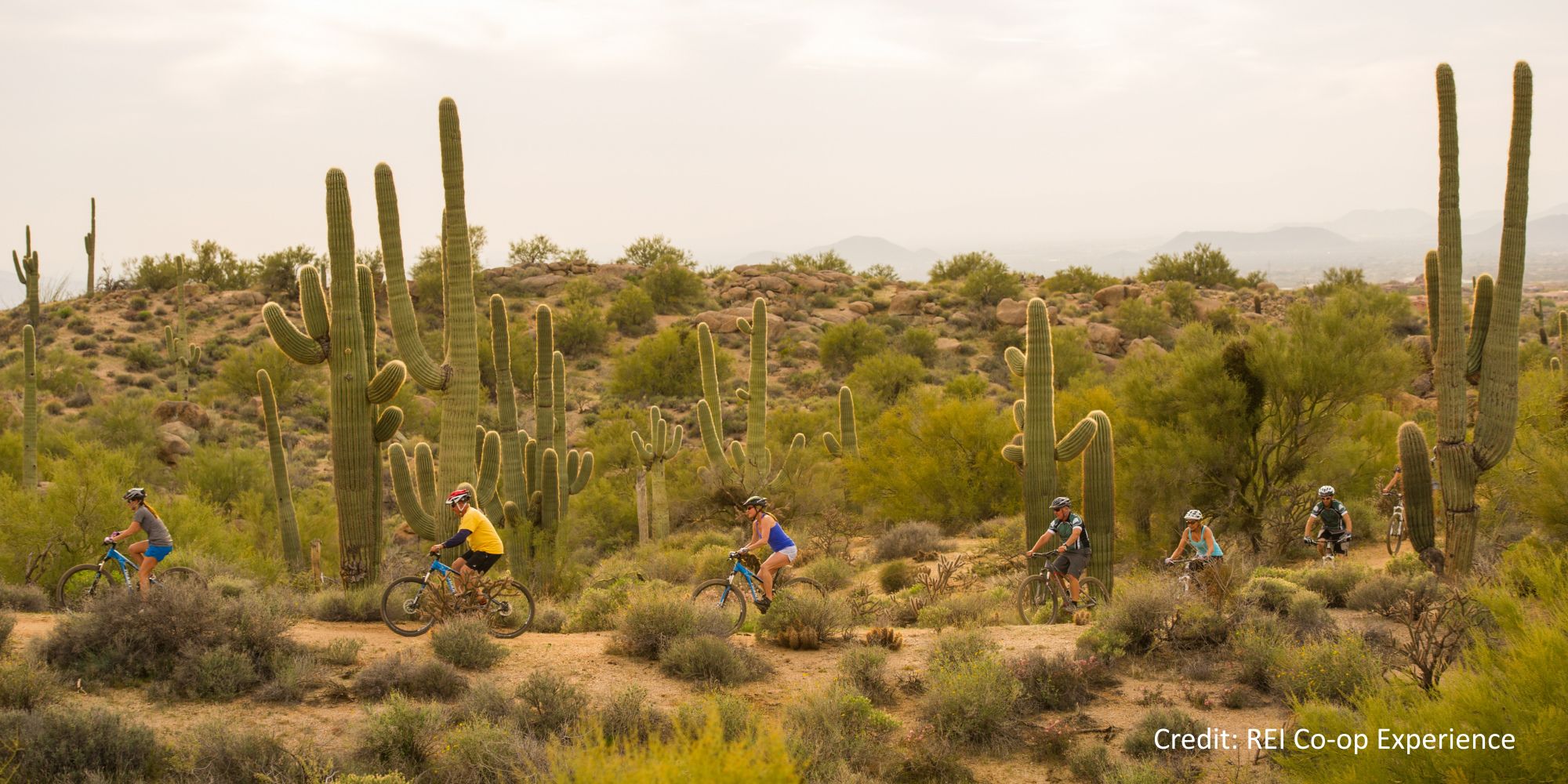 Arizona, Scottsdale