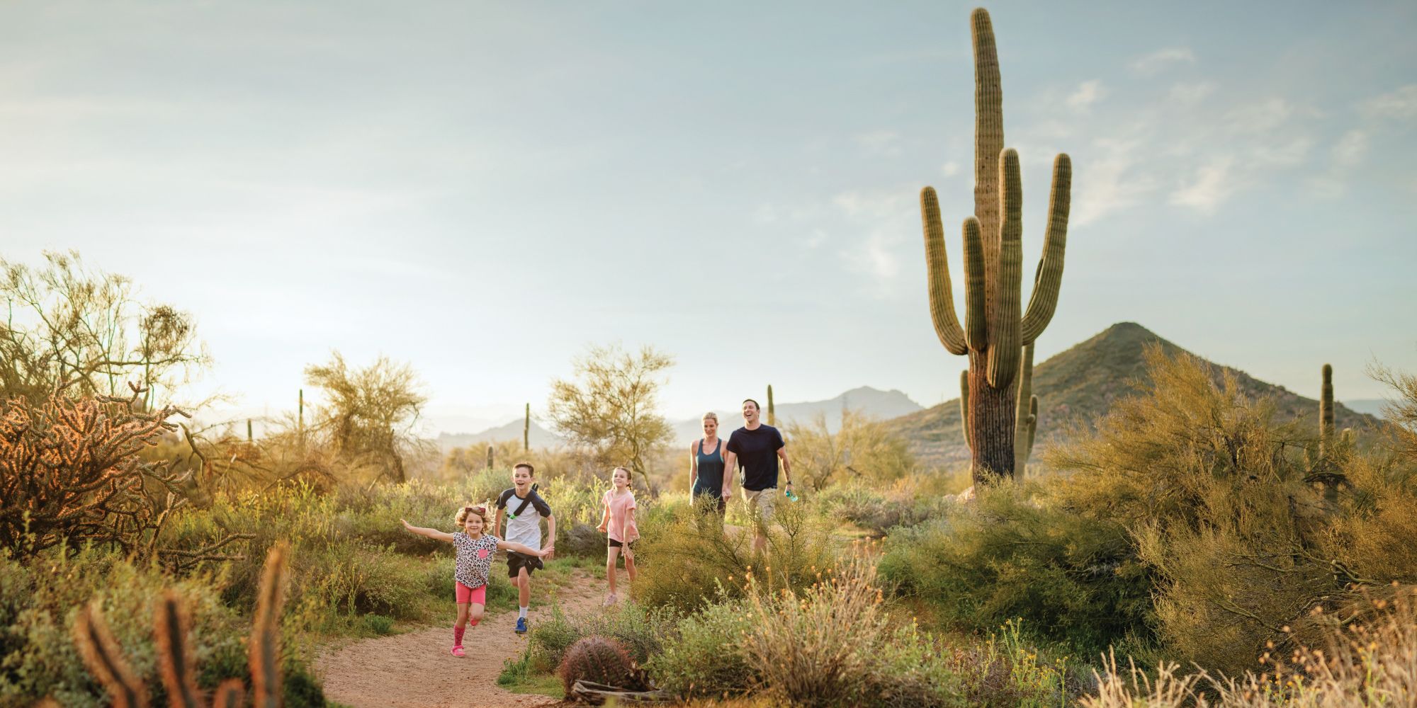 Arizona Scottsdale McDowell Sonoran Preserve