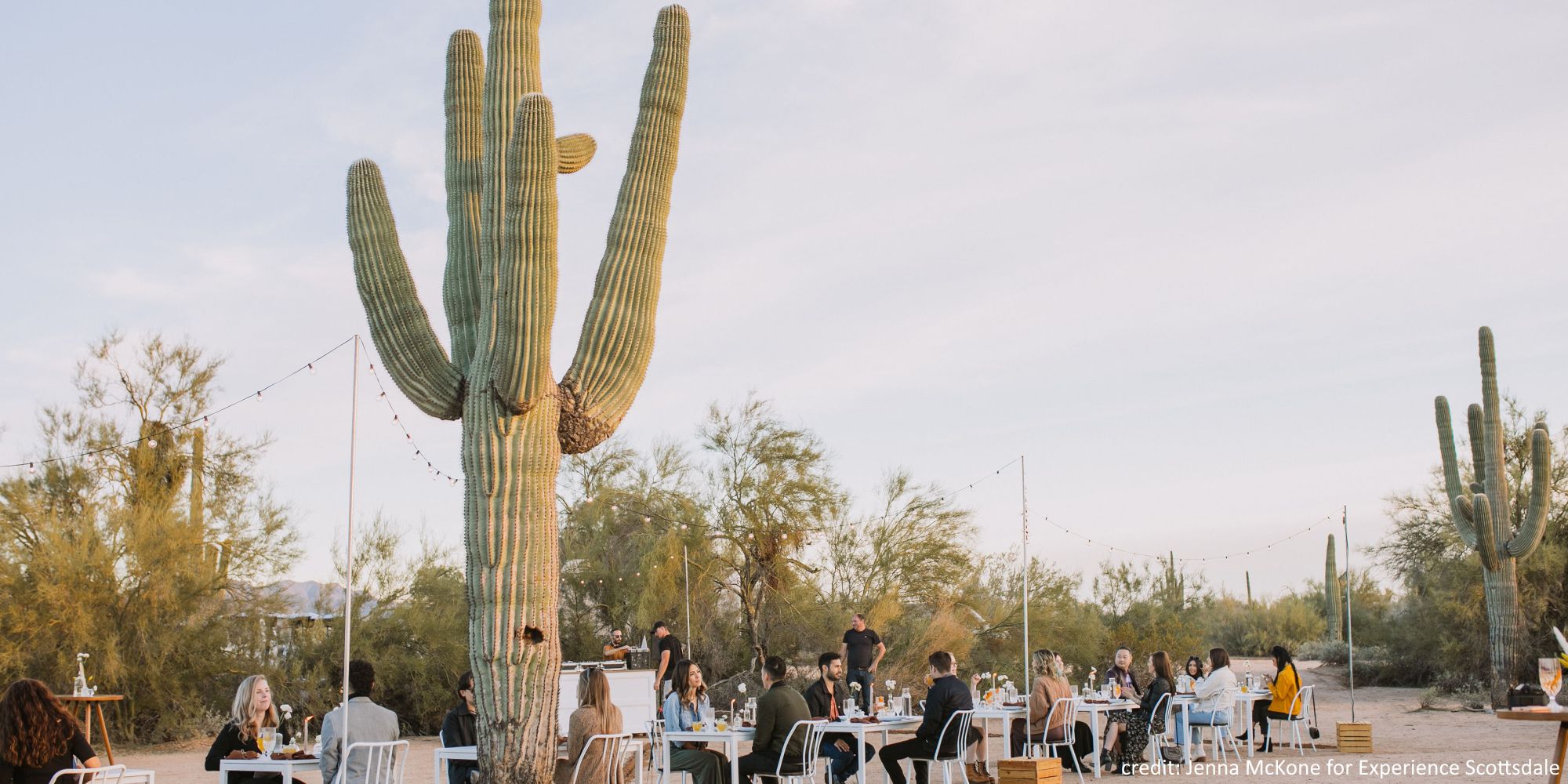 Arizona Sonoran Desert