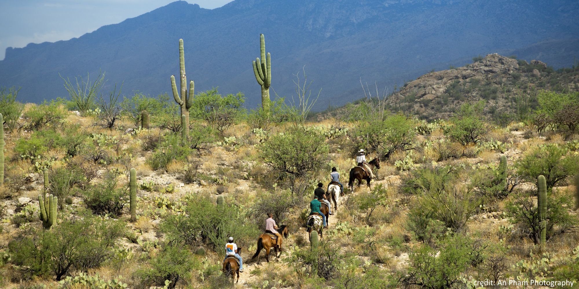 Tucson Arizona 