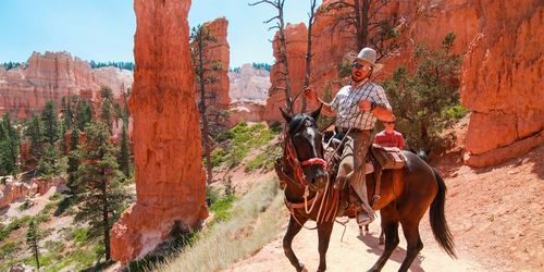 Bryce Canyon Horse Bryce Canyon Horse