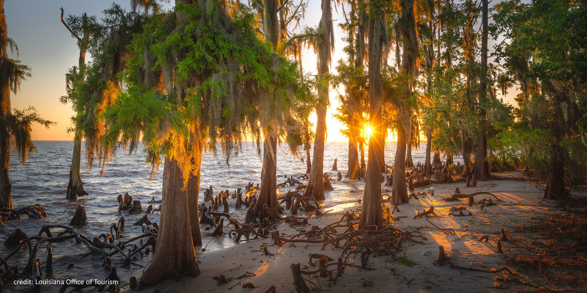 Fontainebleau State Park Mandeville Louisiana
