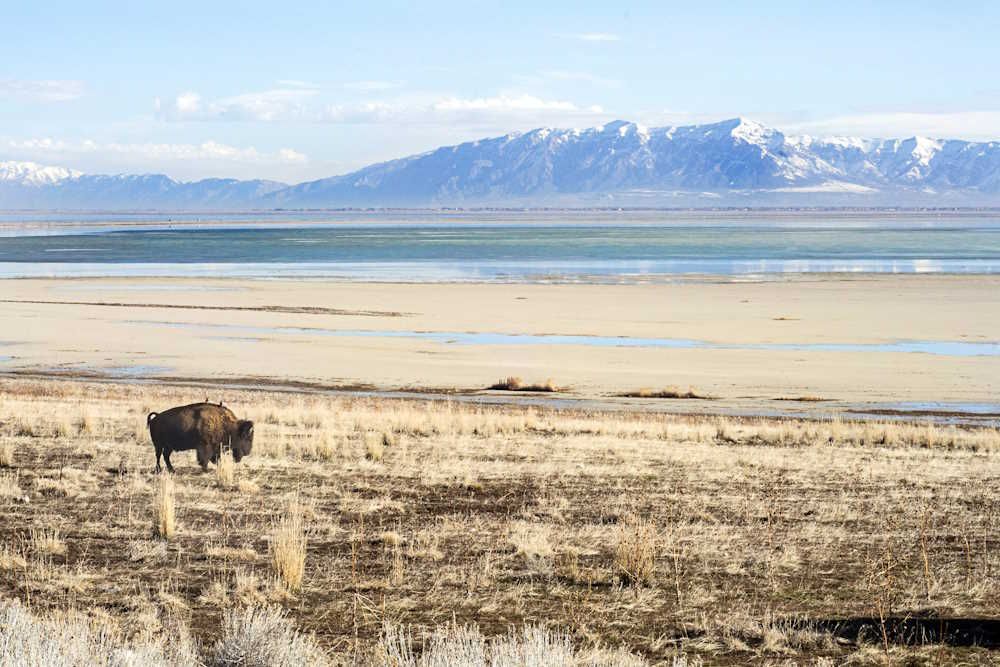 Utah Salt Lake City Antelope Island