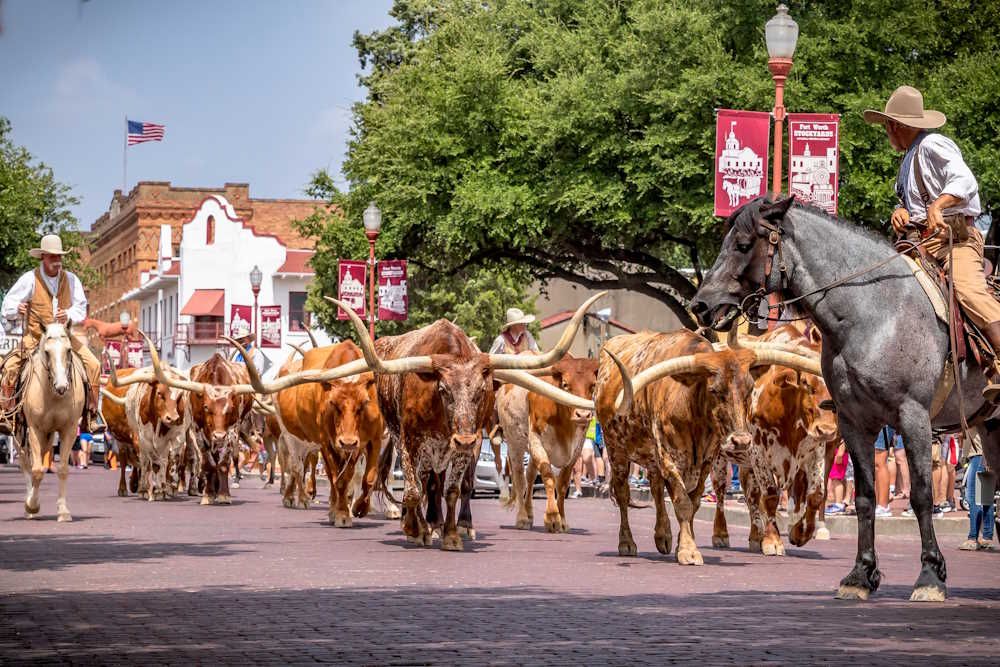 Texas Fort Worth Stampede