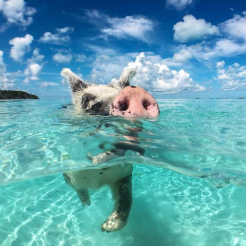 BAHAMAS