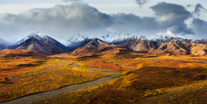 Etats-Unis &amp; Canada - Les Trésors du Yukon et de l'Alaska